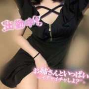 ヒメ日記 2026/02/25 10:16 投稿 アミナ アリスマリオン