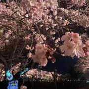 ヒメ日記 2026/04/05 16:51 投稿 ゆら ぽちゃ・巨乳専門店　太田足利ちゃんこ