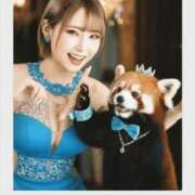 ヒメ日記 2026/03/18 14:14 投稿 TSUKI GINGIRA☆TOKYO～ギンギラ東京～