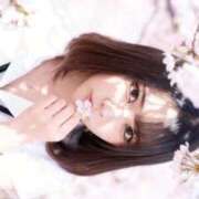 ヒメ日記 2026/04/04 14:05 投稿 TSUKI GINGIRA☆TOKYO～ギンギラ東京～