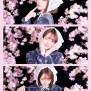 ヒメ日記 2026/04/07 10:14 投稿 TSUKI GINGIRA☆TOKYO～ギンギラ東京～