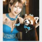 ヒメ日記 2026/05/26 14:16 投稿 TSUKI GINGIRA☆TOKYO～ギンギラ東京～
