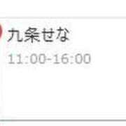 ヒメ日記 2026/02/12 10:26 投稿 九条せな 人妻ジャンキー