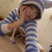 ヒメ日記 2026/02/12 13:27 投稿 ねこ 折り紙 ORIGAMI