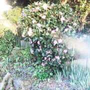 ヒメ日記 2026/03/16 18:05 投稿 小春 浜松人妻援護会