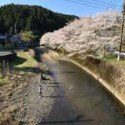 ヒメ日記 2026/04/01 07:34 投稿 小春 浜松人妻援護会