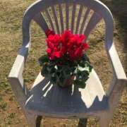 ヒメ日記 2026/04/07 01:36 投稿 小春 浜松人妻援護会