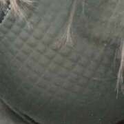 ヒメ日記 2026/04/25 13:29 投稿 みる 虹色メロンパイ 横浜店