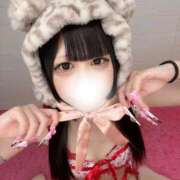 ヒメ日記 2026/02/12 16:25 投稿 ねむ IRIS(岐阜)