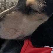 ヒメ日記 2026/02/22 11:20 投稿 えり 一宮稲沢小牧ちゃんこ