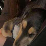 ヒメ日記 2026/03/01 09:24 投稿 えり 一宮稲沢小牧ちゃんこ