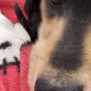 ヒメ日記 2026/03/03 08:39 投稿 えり 一宮稲沢小牧ちゃんこ