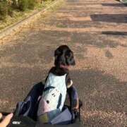 ヒメ日記 2026/07/21 01:14 投稿 えり 一宮稲沢小牧ちゃんこ