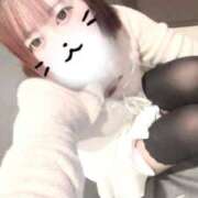 ヒメ日記 2026/02/18 09:39 投稿 椿 ちろる しゃせきょっ!XX教育される制服女子たち