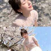 ヒメ日記 2026/03/19 11:39 投稿 ねね One More奥様　八王子店