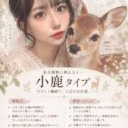 ヒメ日記 2026/09/13 20:49 投稿 ねね One More奥様　八王子店