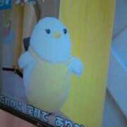 ヒメ日記 2026/02/12 14:26 投稿 しらゆり 熟女家 京橋店