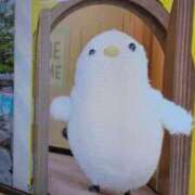 ヒメ日記 2026/02/12 18:16 投稿 しらゆり 熟女家 京橋店