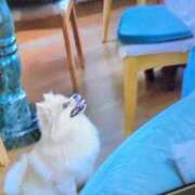 ヒメ日記 2026/02/12 18:36 投稿 しらゆり 熟女家 京橋店