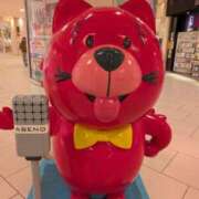 ヒメ日記 2026/03/13 15:27 投稿 しらゆり 熟女家 京橋店