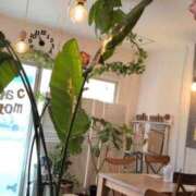 ヒメ日記 2026/03/28 19:14 投稿 しらゆり 熟女家 京橋店