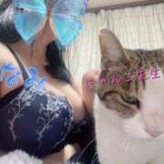 ヒメ日記 2026/02/25 08:30 投稿 なみ 所沢東村山ちゃんこ