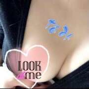 ヒメ日記 2026/03/11 09:15 投稿 なみ 所沢東村山ちゃんこ