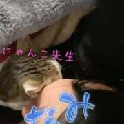 ヒメ日記 2026/03/13 23:18 投稿 なみ 所沢東村山ちゃんこ