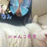 ヒメ日記 2026/03/29 08:45 投稿 なみ 所沢東村山ちゃんこ