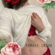 ヒメ日記 2026/02/28 13:21 投稿 環いろは マダムと紳士