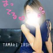 ヒメ日記 2026/03/10 15:15 投稿 環いろは マダムと紳士