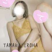 ヒメ日記 2026/03/16 13:03 投稿 環いろは マダムと紳士