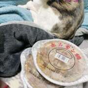 ヒメ日記 2026/03/18 15:12 投稿 なみ 西東京市小平ちゃんこ