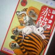ヒメ日記 2026/04/06 00:33 投稿 なみ 西東京市小平ちゃんこ