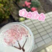 ヒメ日記 2026/04/03 17:24 投稿 今宵 なぎ アリス女学院 日本橋校