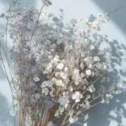 ヒメ日記 2026/03/01 08:41 投稿 新人・由奈(ゆな) グランドオペラ福岡