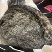 ヒメ日記 2026/02/20 18:14 投稿 れいら 大宮逆マッサージ