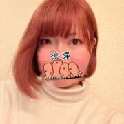 ヒメ日記 2026/03/11 16:52 投稿 うり ちゃんこ藤沢茅ヶ崎店