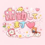 ヒメ日記 2026/02/26 13:27 投稿 こはる 宮城仙南ちゃんこ