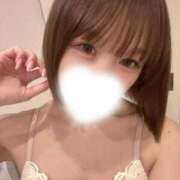 ヒメ日記 2026/02/12 07:43 投稿 モア【体験入店】 川崎美女革命