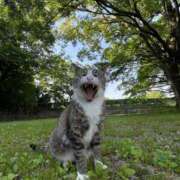 ヒメ日記 2026/02/15 17:33 投稿 こころ☆今日18歳になりました JKサークル