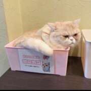 ヒメ日記 2026/02/19 09:01 投稿 こころ☆今日18歳になりました JKサークル