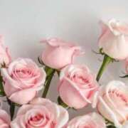 ヒメ日記 2026/03/06 17:19 投稿 水瀬りょう アラフォーna奥様 アラフィフna奥様（埼玉ハレ系）