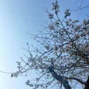 ヒメ日記 2026/03/25 12:44 投稿 水瀬りょう アラフォーna奥様 アラフィフna奥様（埼玉ハレ系）