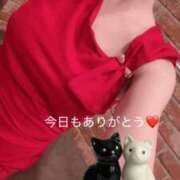 ヒメ日記 2026/03/26 17:15 投稿 水瀬りょう アラフォーna奥様 アラフィフna奥様（埼玉ハレ系）