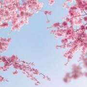 ヒメ日記 2026/04/18 15:02 投稿 水瀬りょう アラフォーna奥様 アラフィフna奥様（埼玉ハレ系）