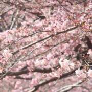 ヒメ日記 2026/03/24 14:32 投稿 ろあ 横浜Cute