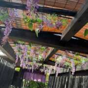 ヒメ日記 2026/05/04 09:23 投稿 山下 にな ミスターダンディー