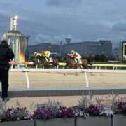 ヒメ日記 2026/04/12 09:38 投稿 しゅり ファンタジー