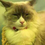 しゅり 遅くなりました😭 ファンタジー